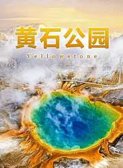 暴龙极限生存记
