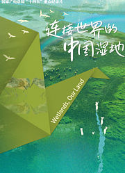 连接世界的中国湿地