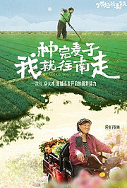种完麦子我就往南走