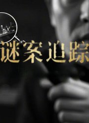 谜案追踪