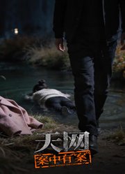 天网：案中有“案”