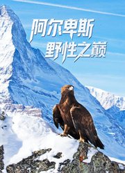 阿尔卑斯：野性之巅-配音版