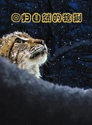 上甘岭