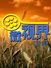 微视界2018
