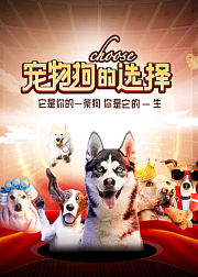 宠物狗的选择