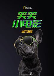 笑笑小电影动物篇