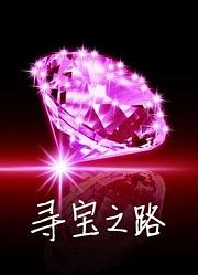 寻宝之路