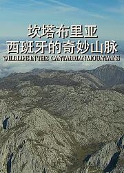 坎塔布里亚西班牙的奇妙山脉