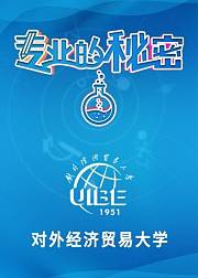 2021专业的秘密：对外经济贸易大学