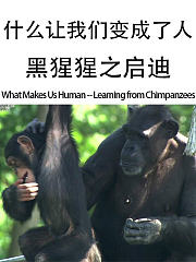 什么让我们变成了人--黑猩猩之启迪