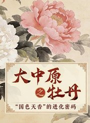 大中原之牡丹