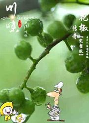 【食一味】川味传奇美食系列片第二季