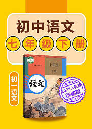 初中语文七年级下语文初一部编版2021