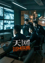 天网：法网纵横