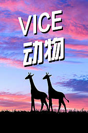 VICE动物