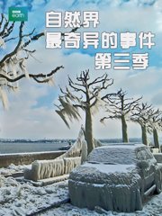 自然界最奇异的事件第3季