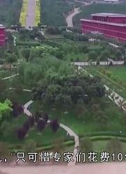 太原曾出现一个黄金棺椁，十分罕见，只可惜专家们花费10年未打