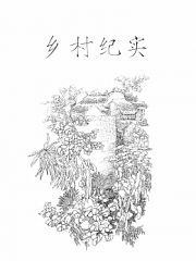 岳琳-乡村纪实—纪录城乡一体化下基层群众最真实的状态
