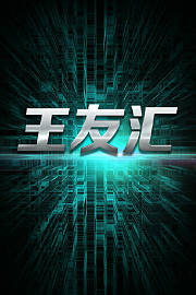 王友汇
