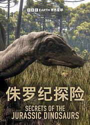侏罗纪探险