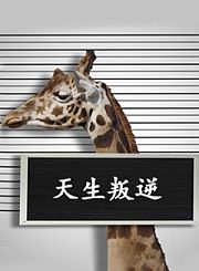 四大百货