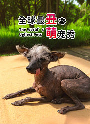 全球最丑萌宠秀