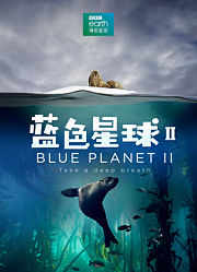 蓝色星球第2季中文版