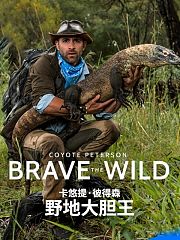 卡悠提·彼得森：野地大胆王
