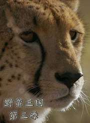 野蛮王国第3季