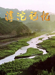 黑脸大包公第2季