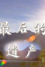 最后的遗产