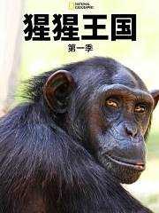 猩猩王国第1季