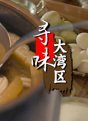 寻味大湾区英文版