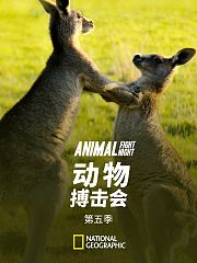 动物搏击会第5季
