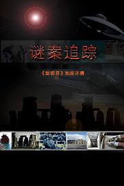 谜案追踪