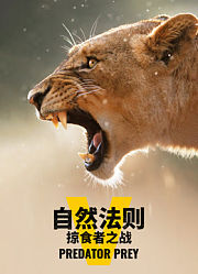 自然法则：掠食者之战
