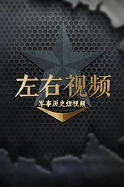左右视频