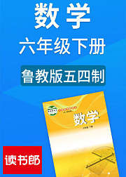 数学六年级下册鲁教版五四制