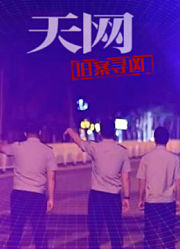 天网：旧案寻凶