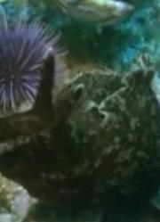 漫步海洋