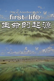 生命的起源