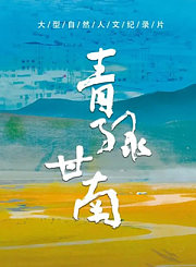 守护天鹅精简版-十年逐梦路