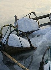 生命之源