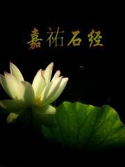 嘉祐石经
