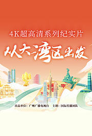 从大湾区出发
