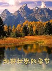 纵贯中国最来电-懂车帝