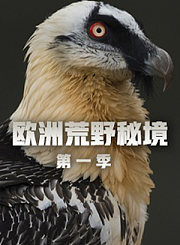 我与故宫文物：看不见的故宫李少白