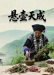 悬壶天成