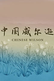 中国威尔逊