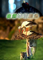 自然奇境剧场
